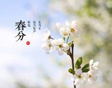 春分,考拉云商,考拉云商POS機,考拉云商優勢