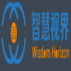 智慧視界