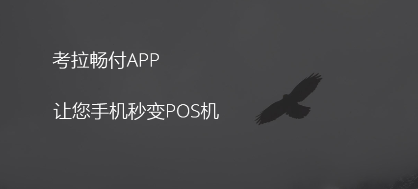 考拉暢付