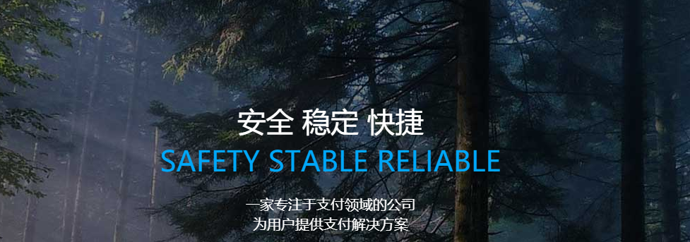 點綴支付