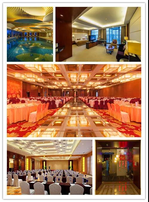 五星級酒店海外海:與采寶伊見鐘情,兩周閃婚