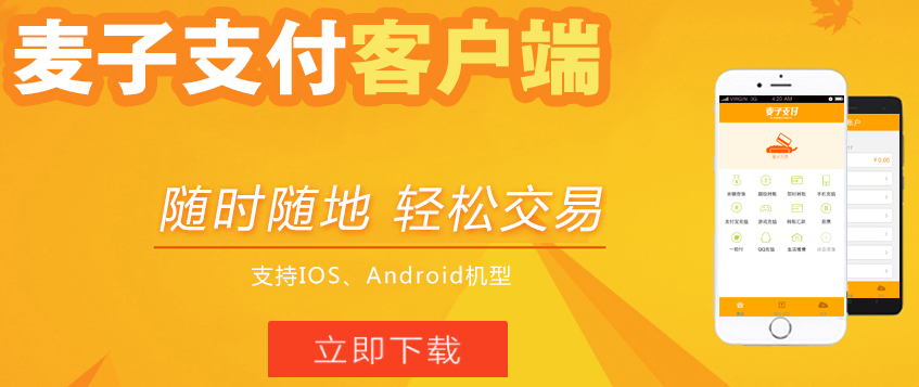 麥子支付