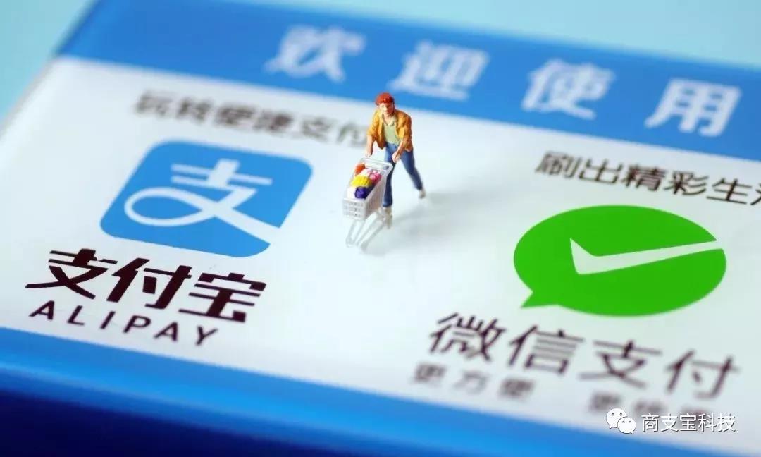 支付寶和微信支付居然不是至大的贏加!
